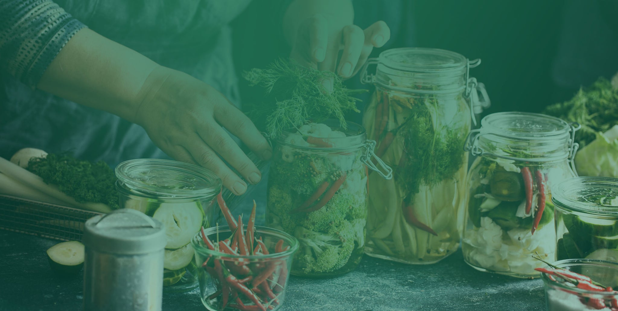 Clean & Green Ferments – Clean Green Ferments Store