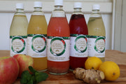 Kombucha & Milk Kefir Workshop